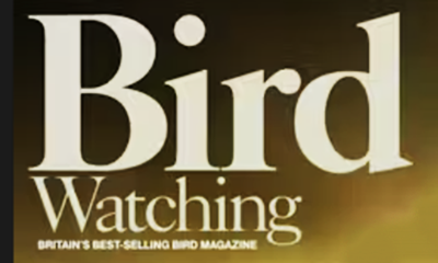 Bird Watching Magazine Logo
